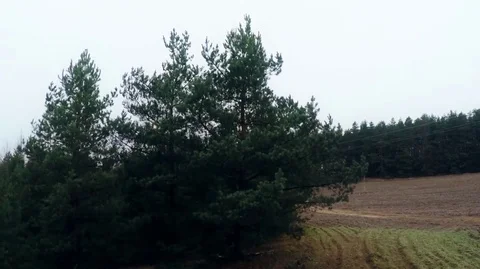 Flying near the cell tower mobile operator and the other transmitting signals Stock Footage 69737440