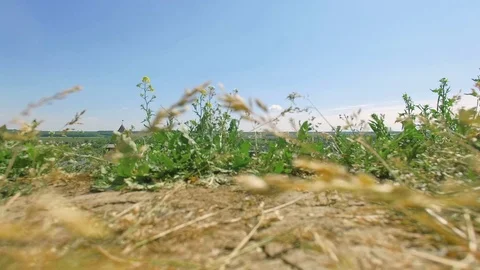 Flying near medieval fortification complex Stock Footage 77452920