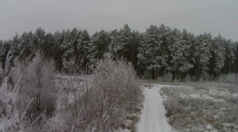 Flying near winter forest Stock Footage 45383638
