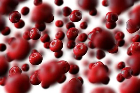 Flying or levitated cherries on a light background with steam or water particles Stock Photos