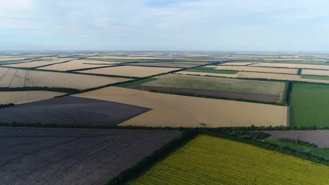 Flying over agricultural fields 動画素材 101017745