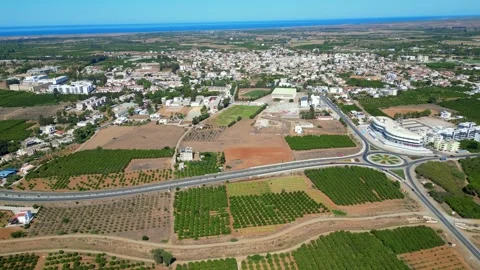 Flying over agricultural fields in North Cyprus. Flat landscape. Fields of trees Stock Footage 276294449