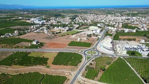 Flying over agricultural fields in North Cyprus. Flat landscape. Fields of trees Stock Footage 276294569