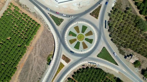 Flying over agricultural fields in North Cyprus. Flat landscape. Fields of trees Stock Footage 276294827