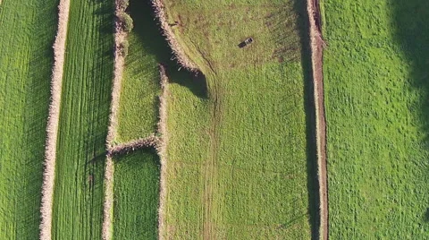 Flying Over the Agricultural Green Fields Stock Footage 46217467