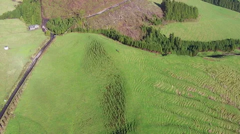 Flying Over the Agricultural Green Fields Stock Footage 46220895