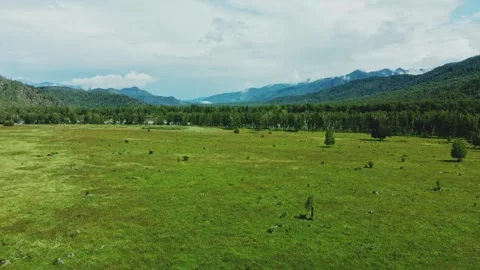 Flying over an alpine green meadow surrounded by mountains. 動画素材 311406412