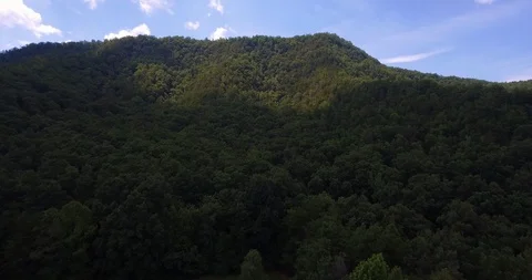 Flying over an amazing rain forest, aerial view above rain forest with fog at Stock-Footage 94968699