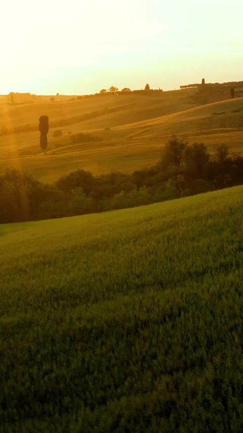 Flying over the amazing rolling hills of Tuscany Italy. Vertical video. Stock Footage 336191120