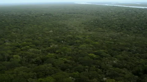Flying over Amazon Stock Footage 52341151