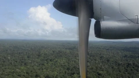 Flying over the amazon Stock Footage 116440059