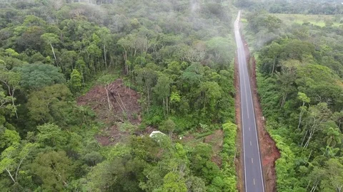 Flying over an Amazonian highway and a clearing cut out of the rainforest Stock Footage