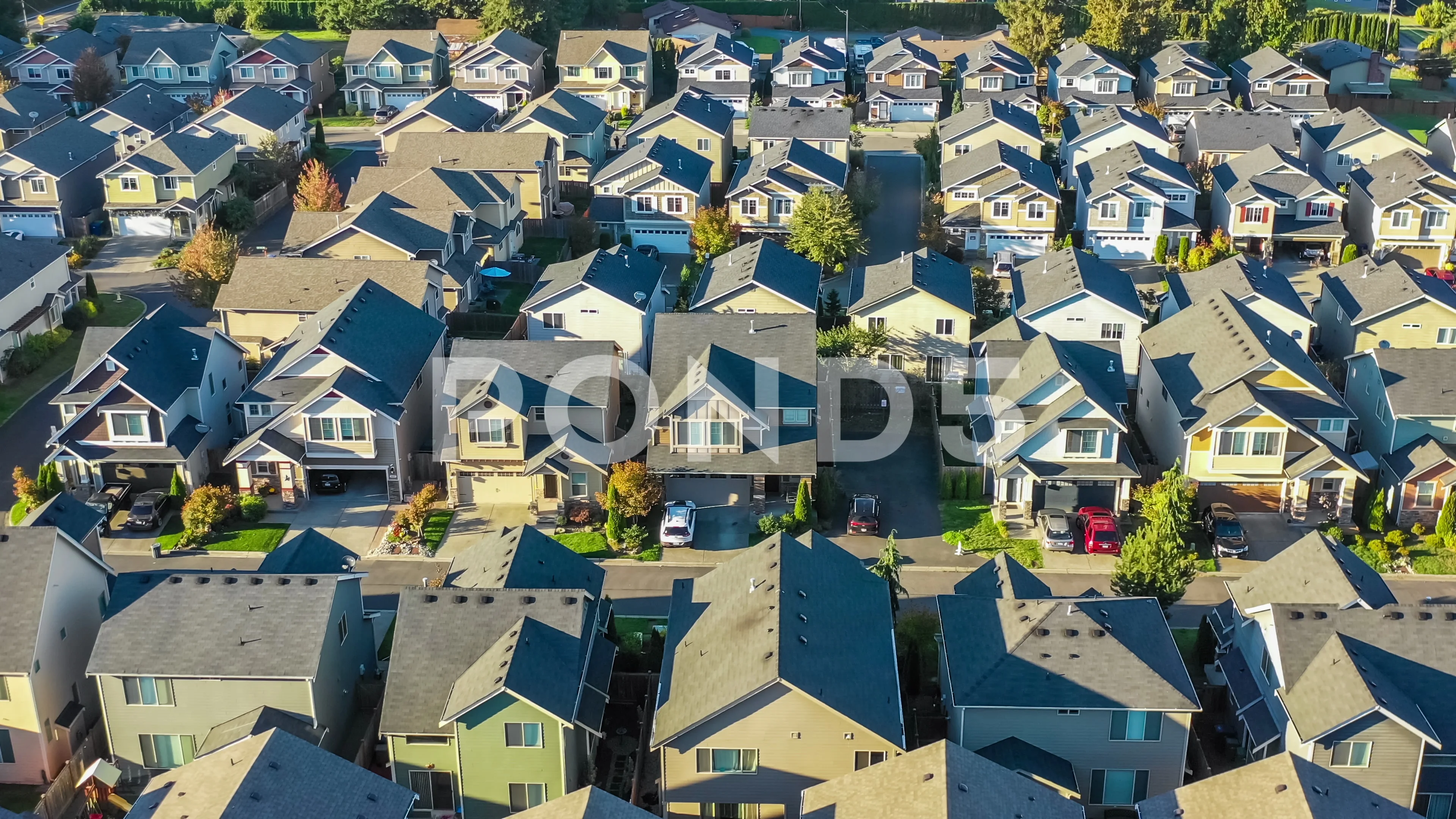 Housing studies