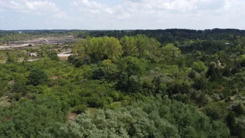 Flying over and into Oaks quarry park in Ohio Stock Footage 159451853