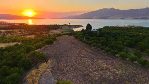 Flying Over Apricot Orchards Toward a Crimson Lake Sunset with Stork Nests Stock Footage 340402652