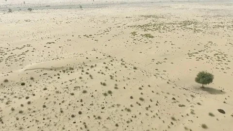 Flying over Arabian desert HD travel video. Aerial view dry terrain sand nature Stock Footage 74731083