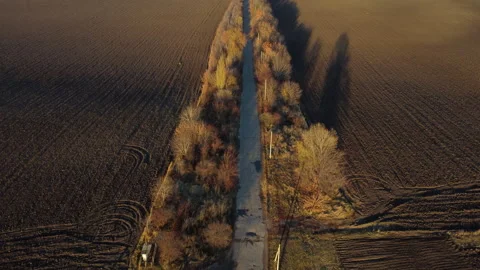 Flying over asphalt road with trees in plowed field at sunset in autumn Stock Footage 281303313