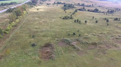Flying over the autumn fields Stock-Footage 68165856