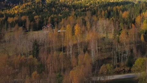 Flying over autumn forest and farmer's house on the lawn. Stock Footage 81214458