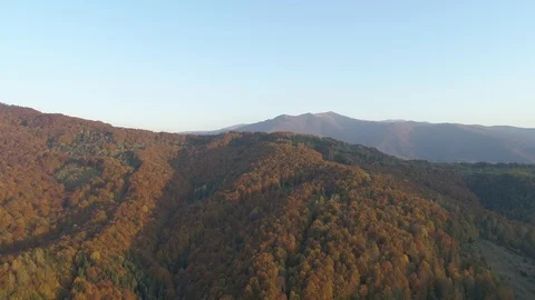Flying over the autumn forest and beautiful mountain scenery. Carpathians Stock Footage 118234461