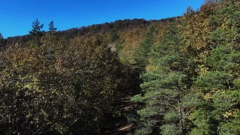 Flying over the autumn forest in Caucasus. Live background. Stock Footage 125536634