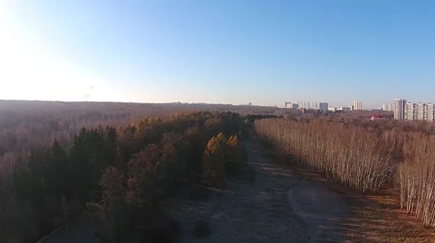 Flying over the autumn forest Stock Footage 46240020