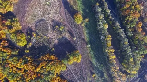 Flying over the autumn forest. Stock Footage 81725942