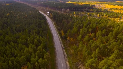 Flying over the autumn forest 스톡 동영상 128658606
