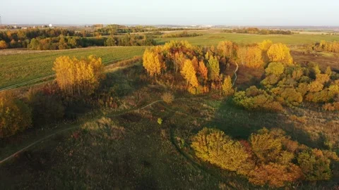 Flying over the autumn orange trees over the countryside. Aerial View of Autumn Stock Footage 141122059