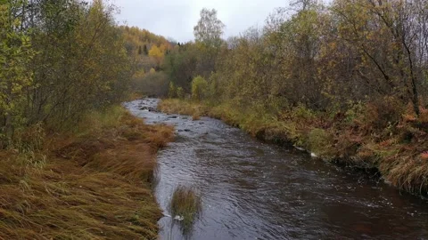 Flying over an autumn river Vídeos de archivo 126033928