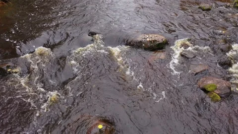 Flying over an autumn river Vídeos de archivo 126034331