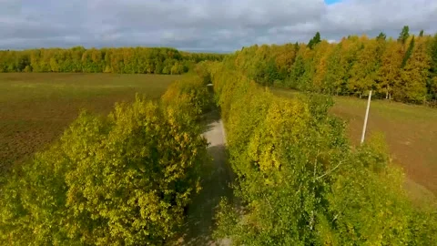 Flying over the autumn road on a copter Stock Footage 161387328