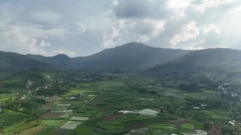 Flying over Ba Vi rice fields and mountain landscape Stock Footage 325943796