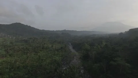 Flying Over the Bali Forest Looking Around the Mountains with Majestic View 動画素材 237166871