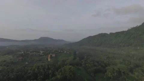 Flying Over the Bali Forest Looking Around the Mountains with Majestic View 動画素材 237166991