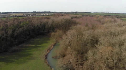 Flying over bare trees on the Cherwell Valley, UK in winter Stock Footage 150055050