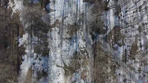 Flying over bare trees in winter Park. Aerial survey Stock Footage 113497615