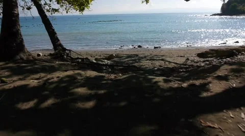 Flying over the beach and chasing the flock of pelicans. Видео 52792860