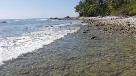 Flying over the beach and chasing the flock of pelicans. Stock Footage 52803594