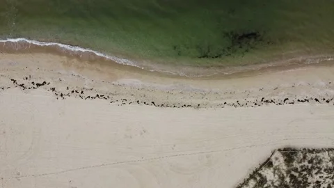 Flying over a beach Stock Footage 152817290