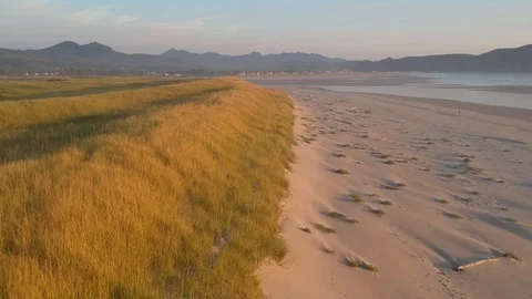 Flying Over Beach Grass at Sunset Stock Footage 105325842