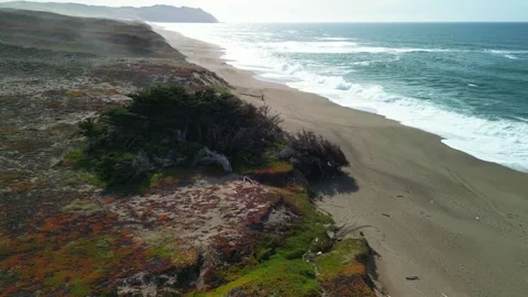 Flying Over Beach, Marin County, California, Aerial Drone Footage Stock Footage 273753128