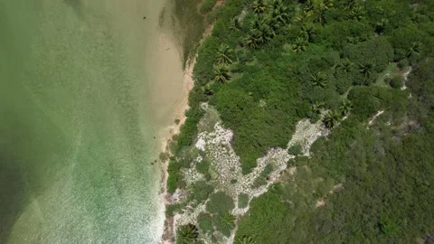 Flying over the beach of So Miguel dos Milagres, touristic and paradisiacal b Vidéo 196263464