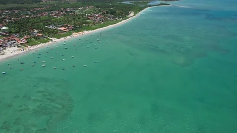 Flying over the beach of So Miguel dos Milagres, touristic and paradisiacal b Vidéo 196263470