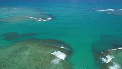 Flying over the beach of So Miguel dos Milagres, touristic and paradisiacal b Vidéo 196263475