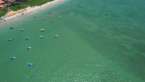 Flying over the beach of So Miguel dos Milagres, touristic and paradisiacal b Vidéo 196263476