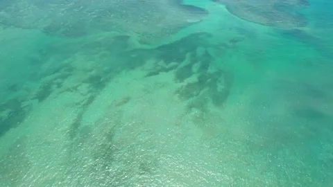 Flying over the beach of So Miguel dos Milagres, touristic and paradisiacal b Vidéo 196263478