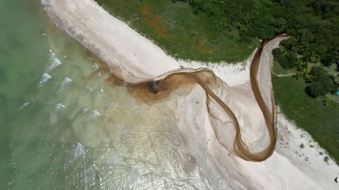 Flying over the beach of So Miguel dos Milagres, touristic and paradisiacal b Vidéo 196263481
