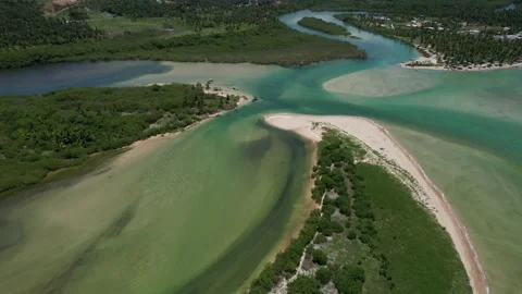 Flying over the beach of So Miguel dos Milagres, touristic and paradisiacal b Vidéo 196263488