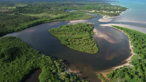 Flying over the beach of So Miguel dos Milagres, touristic and paradisiacal b Vidéo 196263491